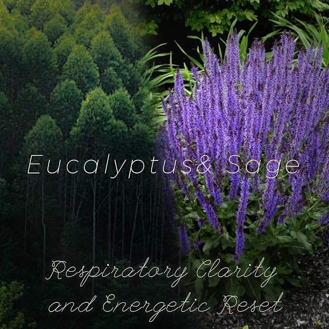 Eucalyptus & Sage Soy Candle – 6.3 oz, 42-Hour Burn